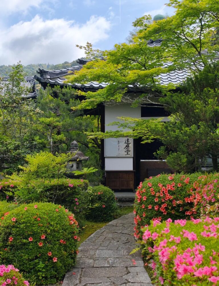 京都月租公寓 vs 酒店：长期停留选哪个更合适？